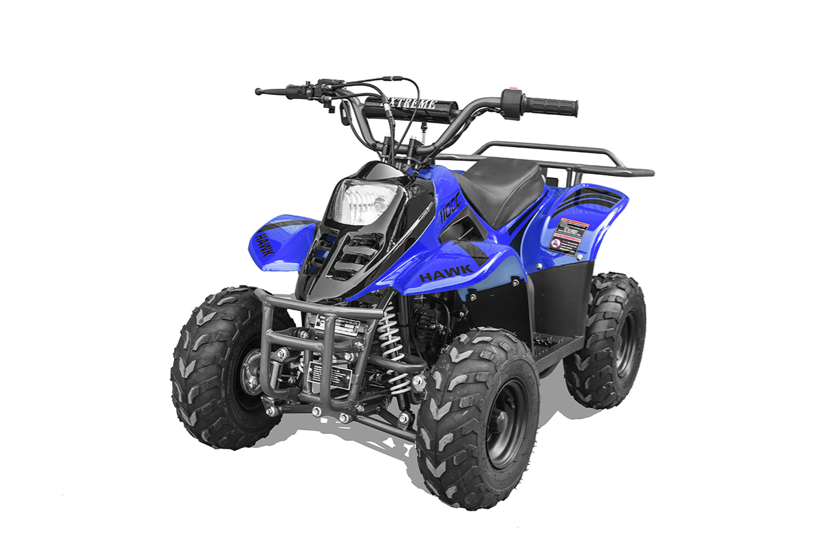 Hawk-REX-Banshee mini-sport 110cc 6"