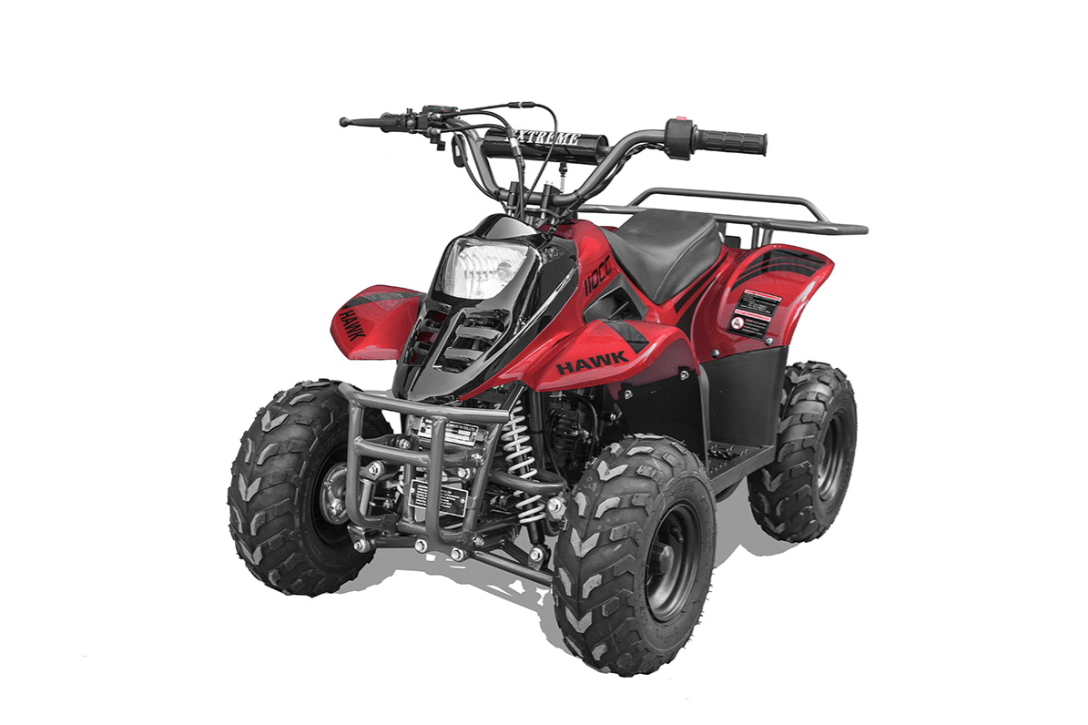 Hawk-REX-Banshee mini-sport 110cc 6"
