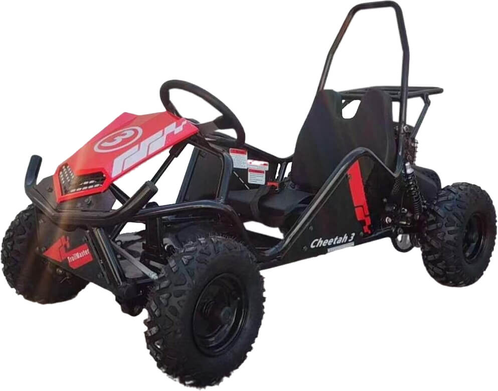 Trailmaster Cheetah 3