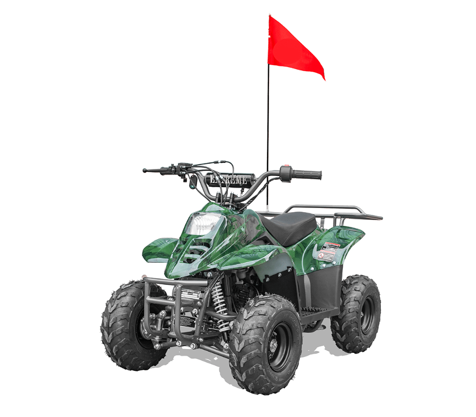 Hawk-REX-Banshee mini-sport 110cc 6"