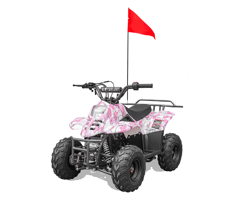 Hawk-REX-Banshee mini-sport 110cc 6"
