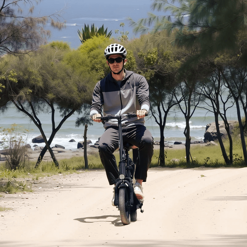 Hiboy Q2 Electric Scooter
