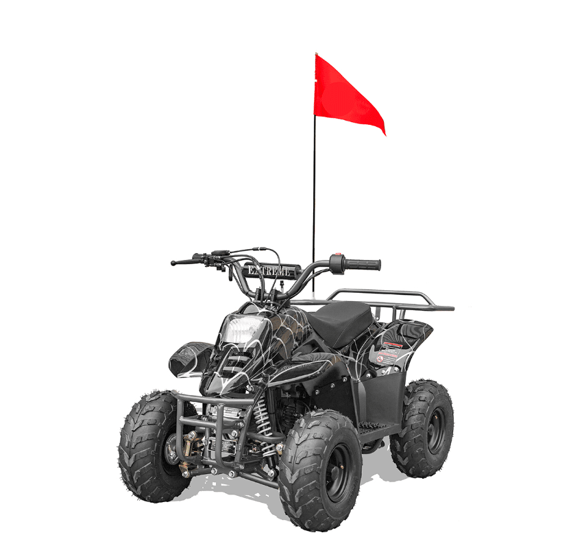 Hawk-REX-Banshee mini-sport 110cc 6"