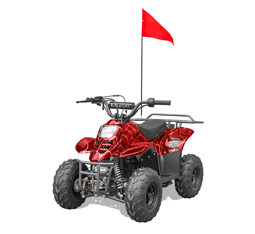 Hawk-REX-Banshee mini-sport 110cc 6"