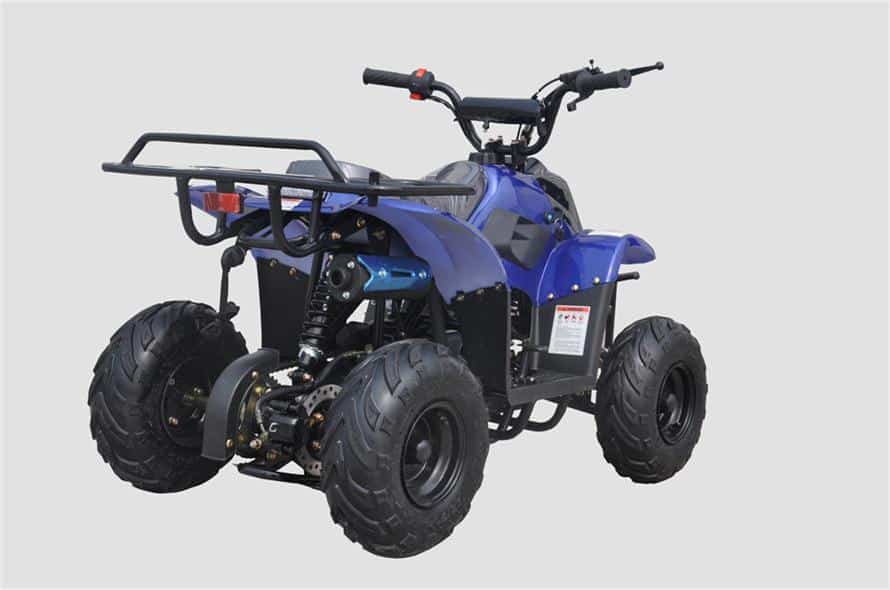 Hawk-REX-Banshee mini-sport 110cc 6"