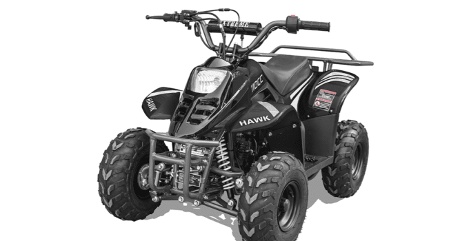 Hawk-REX-Banshee mini-sport 110cc 6″