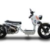 Maddog 50cc low profile scooter-5th Generation - Image 2