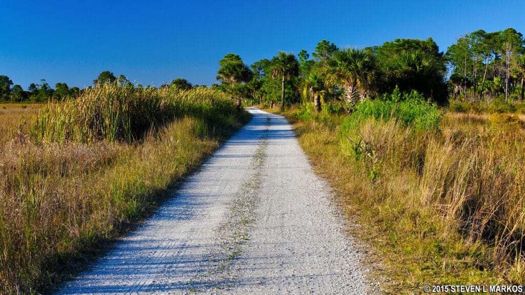 Big Cypress National preserve side by side trail