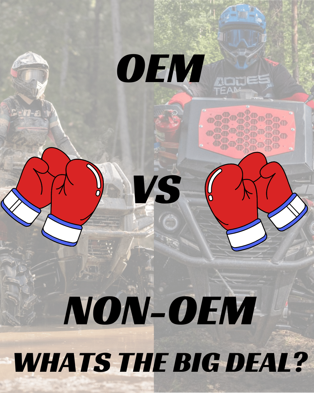 Buying OEM vs. Non-OEM: Go Big Without Breaking the Bank!