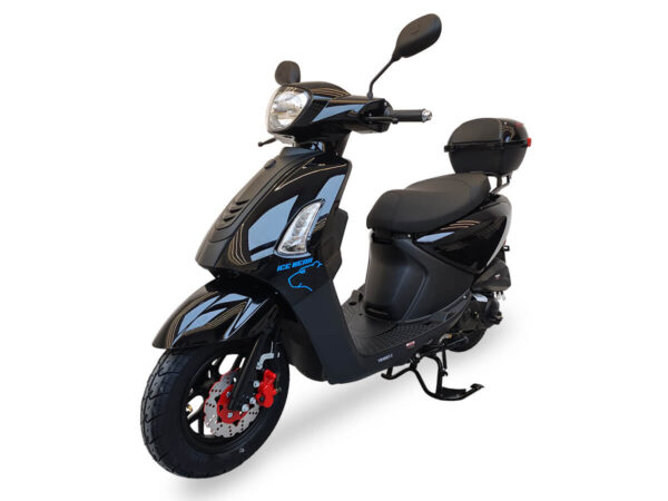 Icebear Jax 50cc